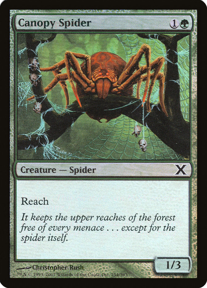 Canopy Spider (Premium Foil) [Tenth Edition] - Magic: The Gathering - Card Brawlers | Quebec | Canada |
