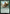 Sutina, Speaker of the Tajuru (Anime) [Foundations Jumpstart] - Magic: The Gathering - Card Brawlers | Quebec | Canada |