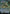 Persistent Petitioners (596) [Secret Lair Drop Promos] - Magic: The Gathering - Card Brawlers | Quebec | Canada |