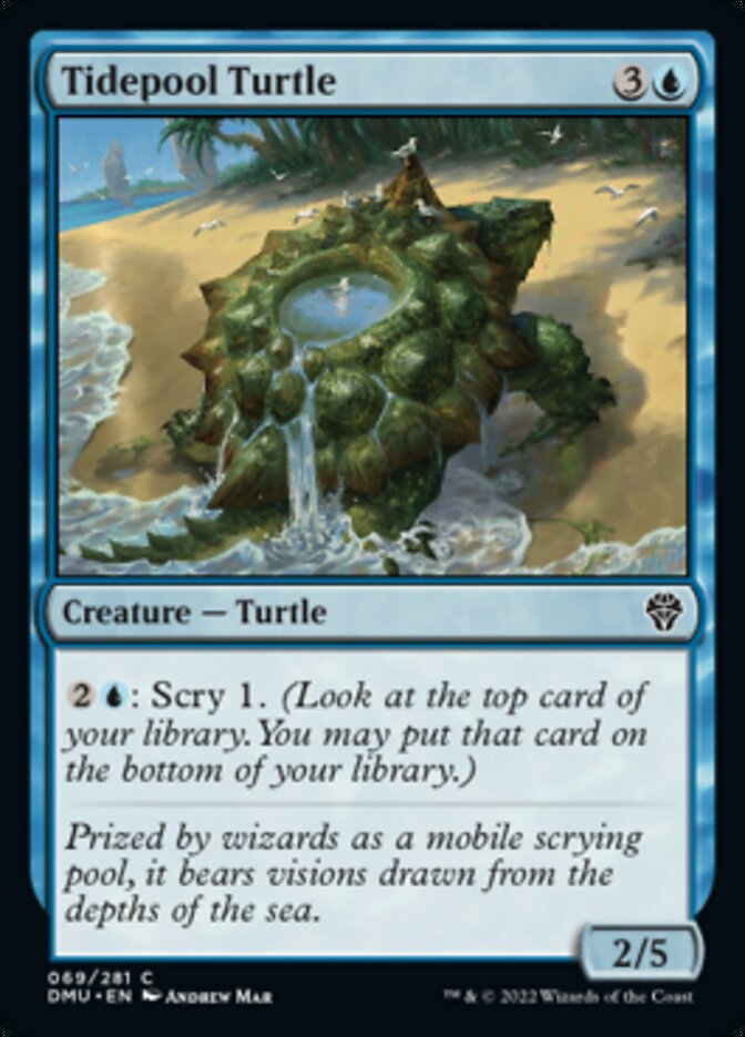 Tidepool Turtle [Dominaria United] - Magic: The Gathering - Card Brawlers | Quebec | Canada |