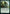 Kodama's Reach [Commander Legends: Battle for Baldur's Gate] - Magic: The Gathering - Card Brawlers | Quebec | Canada |