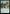 Giant Growth [Bloomburrow] - Magic: The Gathering - Card Brawlers | Quebec | Canada |