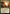 Trap Essence [Khans of Tarkir Prerelease Promos] - Magic: The Gathering - Card Brawlers | Quebec | Canada |