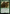 Elvish Warmaster [The Lord of the Rings: Tales of Middle-Earth Commander] - Magic: The Gathering - Card Brawlers | Quebec | Canada |