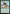 Elephant-Mandrill [Avatar: The Last Airbender: Eternal-Legal] - Magic: The Gathering - Card Brawlers | Quebec | Canada |
