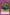 Supercharge (Blue) [DL16-EN018] Rare - Yu-Gi-Oh! - Card Brawlers | Quebec | Canada |