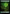 Forest (266) (Full-Art) [Wilds of Eldraine] - Magic: The Gathering - Card Brawlers | Quebec | Canada |