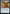 Biblioplex Assistant [Strixhaven: School of Mages] - Magic: The Gathering - Card Brawlers | Quebec | Canada |