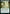 Edge of Autumn [Time Spiral Remastered] - Magic: The Gathering - Card Brawlers | Quebec | Canada |