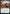 Risona, Asari Commander [Kamigawa: Neon Dynasty Prerelease Promos] - Magic: The Gathering - Card Brawlers | Quebec | Canada |