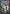 Field Center Token: Seto Kaiba & Blue-Eyes White Dragon (Duel Devastator) () Common / Short Print