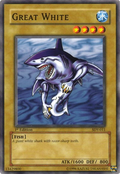 Great White [SDY-011] Common - Yu-Gi-Oh! - Card Brawlers | Quebec | Canada |