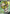 Sandaconda V (184/192) [Sword & Shield: Rebel Clash] - Pokémon - Card Brawlers | Quebec | Canada |