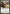 Shepherd of the Lost (Dengeki Maoh Promo) [URL/Convention Promos] - Magic: The Gathering - Card Brawlers | Quebec | Canada |
