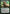 Nissa, Voice of Zendikar [Duel Decks: Nissa vs. Ob Nixilis] - Magic: The Gathering - Card Brawlers | Quebec | Canada |