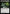 Annihilating Glare [Phyrexia: All Will Be One] - Magic: The Gathering - Card Brawlers | Quebec | Canada |