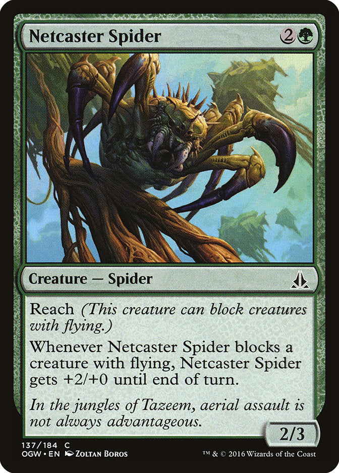 Netcaster Spider [Oath of the Gatewatch] - Magic: The Gathering - Card Brawlers | Quebec | Canada |