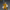 JOYTOY - Imperial Fists Darnath Lysander with Thunder Hammer and Storm Shield - (PREORDER) October 30, 2026