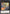 Drill Driver Vespenato [ROTD-EN047] Common - Yu-Gi-Oh! - Card Brawlers | Quebec | Canada |