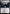 Woodland Chasm [Secret Lair: From Cute to Brute] - Magic: The Gathering - Card Brawlers | Quebec | Canada |