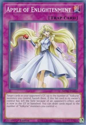 Apple of Enlightenment [MP20-EN046] Common - Yu-Gi-Oh! - Card Brawlers | Quebec | Canada |