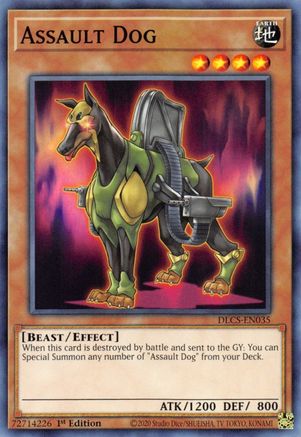 Assault Dog [DLCS-EN035] Common - Yu-Gi-Oh! - Card Brawlers | Quebec | Canada |