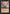 Feast or Famine (Face Pressed) [Alliances] - Magic: The Gathering - Card Brawlers | Quebec | Canada |