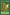 Elf's Light (TP1-006) Rare
