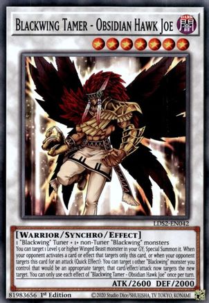 Blackwing Tamer - Obsidian Hawk Joe [LDS2-EN042] Common - Yu-Gi-Oh! - Card Brawlers | Quebec | Canada |