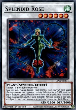 Splendid Rose [LDS2-EN111] Common - Yu-Gi-Oh! - Card Brawlers | Quebec | Canada |