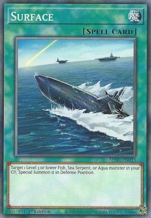 Surface [SDFC-EN033] Common - Yu-Gi-Oh! - Card Brawlers | Quebec | Canada |