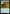 Reflex Sliver [Time Spiral Remastered] - Magic: The Gathering - Card Brawlers | Quebec | Canada |