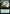 Exponential Growth (Extended Art) [Strixhaven: School of Mages] - Magic: The Gathering - Card Brawlers | Quebec | Canada |
