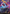 Spotcycle Scouter (Borderless) [Aetherdrift] - Magic: The Gathering - Card Brawlers | Quebec | Canada |