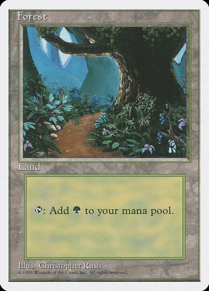 Forest (Flower Path) [Fourth Edition] - Magic: The Gathering - Card Brawlers | Quebec | Canada |