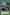 Kishido Spirit [MFC-038] Common - Yu-Gi-Oh! - Card Brawlers | Quebec | Canada |