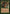 Dense Foliage [Weatherlight] - Magic: The Gathering - Card Brawlers | Quebec | Canada |