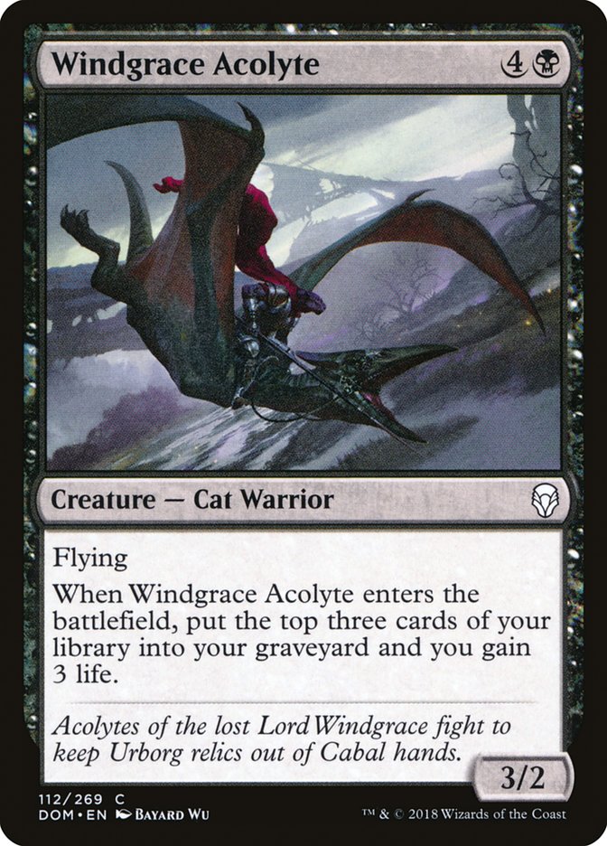 Windgrace Acolyte [Dominaria] - Magic: The Gathering - Card Brawlers | Quebec | Canada |