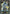 Field Center Token: Crystron Halqifibrax (YuGiOh Day) () Promo