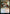 Practical Research [Strixhaven: School of Mages] - Magic: The Gathering - Card Brawlers | Quebec | Canada |
