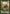 Saproling Token [Magic 2013 Tokens] - Magic: The Gathering - Card Brawlers | Quebec | Canada |