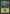 Forest (Signature on Left) [Portal Second Age] - Magic: The Gathering - Card Brawlers | Quebec | Canada |