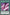 Basal Rose Shoot [OP17-EN012] Super Rare - Yu-Gi-Oh! - Card Brawlers | Quebec | Canada |