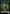 Beast (024) // Treasure Double-Sided Token [Bloomburrow Commander Tokens] - Magic: The Gathering - Card Brawlers | Quebec | Canada |