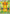 Poncho-wearing Pikachu - 208/XY-P - Holofoil [XY Promos]