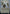 Battle Angels of Tyr (Borderless Alternate Art) [Commander Legends: Battle for Baldur's Gate] - Magic: The Gathering - Card Brawlers | Quebec | Canada |