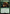 Gigantoad [FINAL FANTASY] - Magic: The Gathering - Card Brawlers | Quebec | Canada |