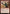 Siege-Gang Commander (Promo Pack) [Dominaria Promos] - Magic: The Gathering - Card Brawlers | Quebec | Canada |