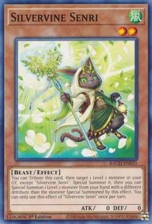 Silvervine Senri [BACH-EN031] Common - Yu-Gi-Oh! - Card Brawlers | Quebec | Canada |