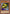 Mask of Darkness [YSDJ-EN010] Common - Yu-Gi-Oh! - Card Brawlers | Quebec | Canada |